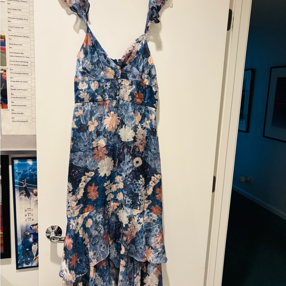 ANTHROPOLOGIE Blue Floral Maxi Dress - Picture 4 of 8